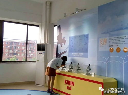 探訪麒麟啤酒觀光工廠 暢飲一番榨，盡享啤酒文化